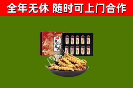 滁州烟酒回收冬虫夏草礼盒.jpg